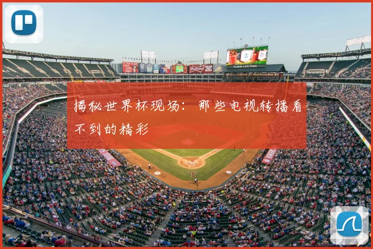 揭秘世界杯现场:那些电视转播看不到的精彩